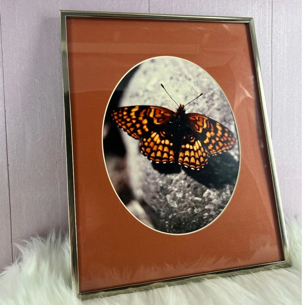 Vintage Butterfly Moth Forest Framed Art Nature Photography Silver Metal Frame